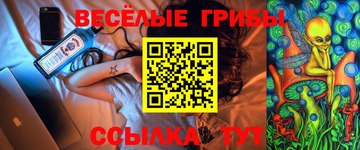 Псилоцибиновые грибы GOLDEN TEACHER  Вход с VPN  Долгопрудный 