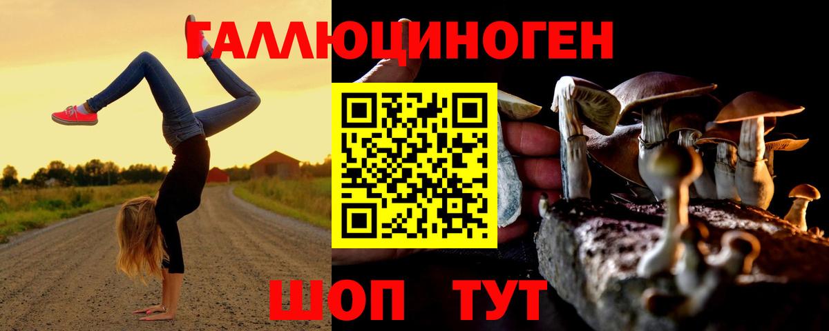 Псилоцибиновые грибы ЛСД Долгопрудный
